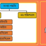 সংখ্যা পদ্ধতি কি? সংখ্যা পদ্ধতি কত প্রকার ও কি কি? বিস্তারিত আলোচনা সংখ্যা পদ্ধতি