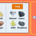 ধাতু ও অধাতু চেনার উপায় কী? 20240514_155320