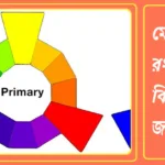মৌলিক রং কাকে বলে? কত প্রকার ও কি কি? বিস্তারিত জানুন 20240914_181918