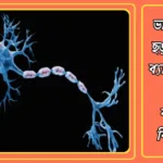 ভারতে আতঙ্ক ছড়াচ্ছে গুলেন ব্যারি সিনড্রোম (GBS): কী বলছেন বিশেষজ্ঞরা? 20250127_210333