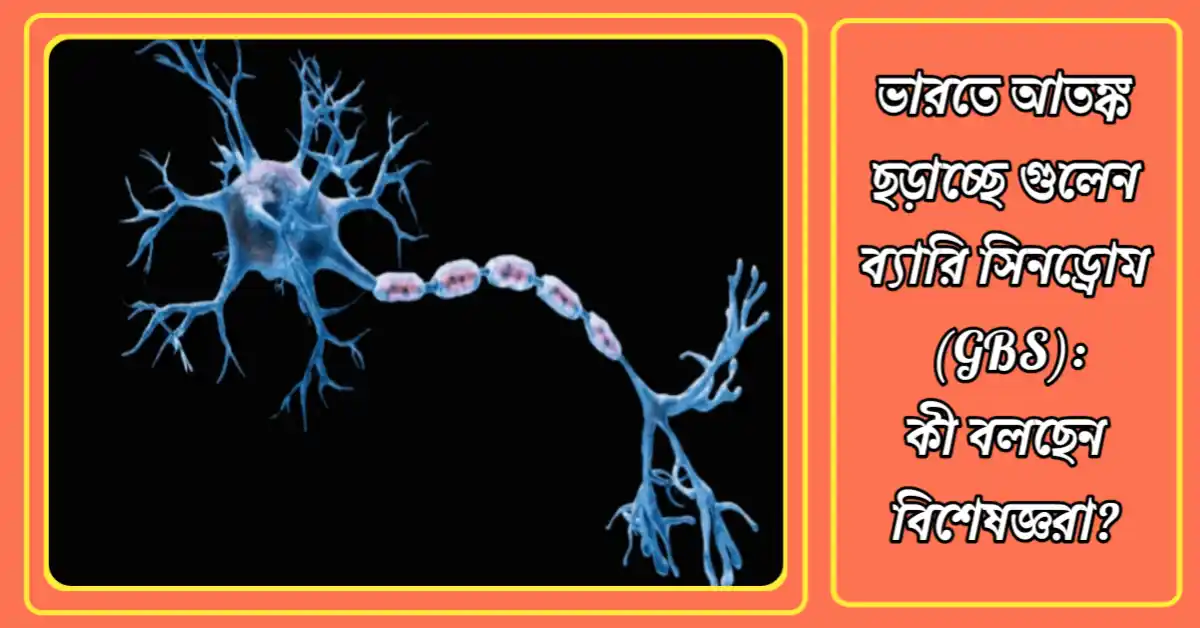 ভারতে আতঙ্ক ছড়াচ্ছে গুলেন ব্যারি সিনড্রোম (GBS): কী বলছেন বিশেষজ্ঞরা? 20250127_210333