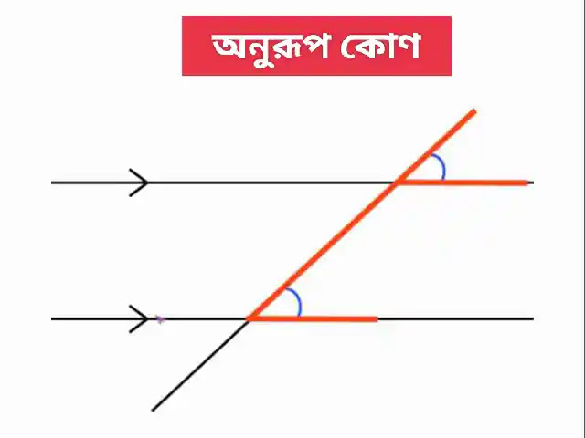 অনুরূপ কোণ এর চিত্র অনুরূপ কোণ এর চিত্র