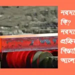 নরমালাইজিং কি? নরমালাইজিং প্রক্রিয়া সম্পর্কে বিস্তারিত আলোচনা নরমালাইজিং-কি
